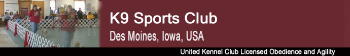 K9 Sports Club header